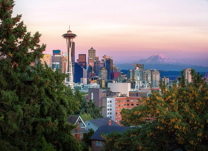 an aerial view of Seattle with trees in the foreground