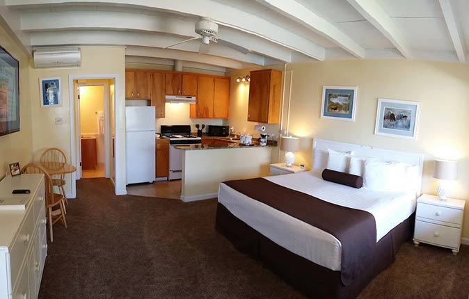 a spacious studio with a bed and kitchen