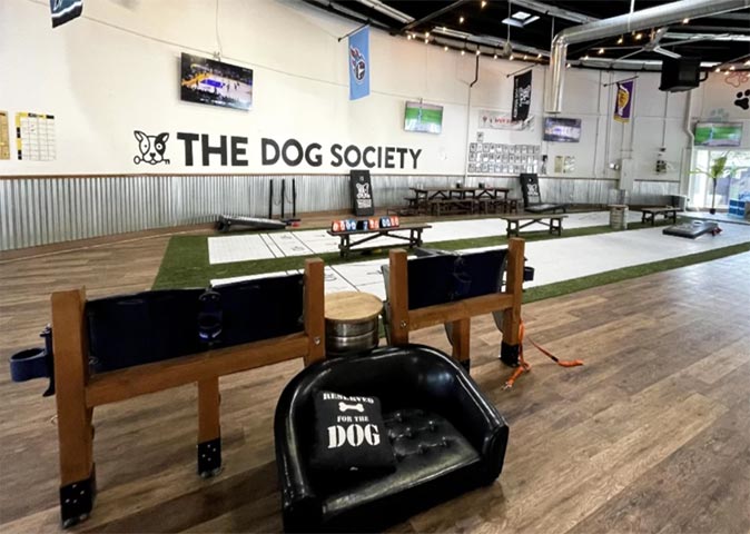 The dog society, a great cheap place to visit in San Diego with dogs A room filled with several activities for dogs