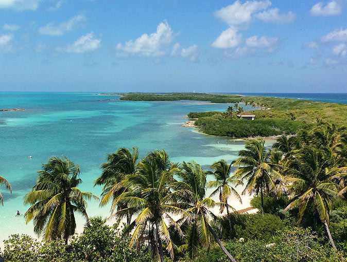 An aerial view of a very green island with palm trees and blue sea