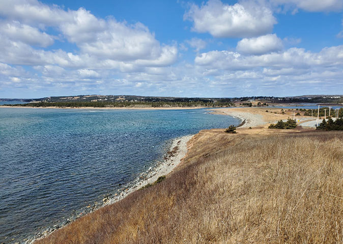 coastline with a sandy beach in the background and brown shrubs in the foreground