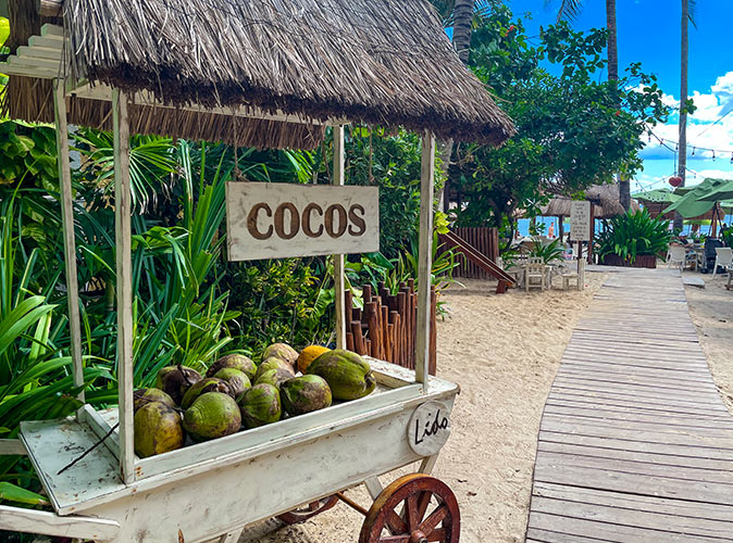 a wooden cart selling coconuts next to a walkway leading to a beach bar