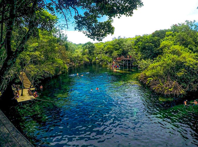 Various people swimming in a swimming hole surrounded by greenery