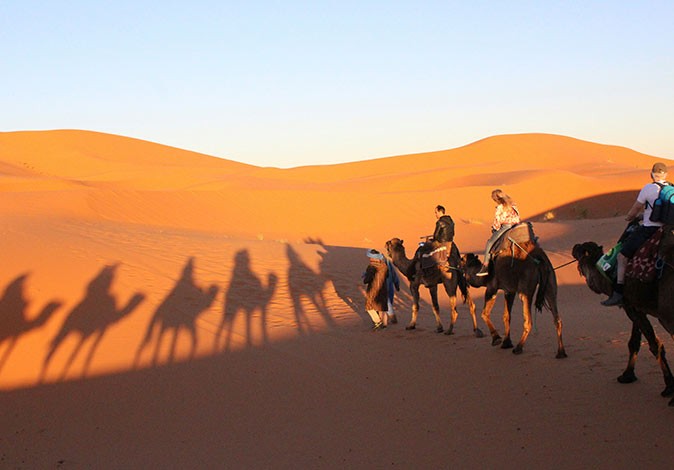 A guided tour in the Moroccan desert 3 people being guided on camels in a desert