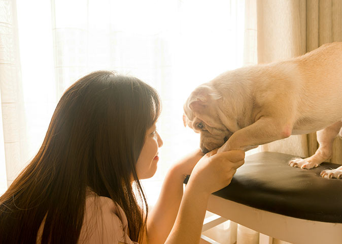 house sitting to travel a woman holding the front paws of a small white dog