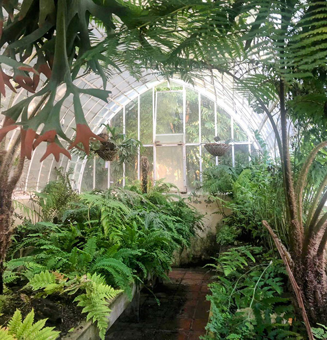 Visit one of Valencia's gardens as an eco-friendly activity tropical plants inside a greenhouse