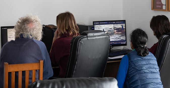 4 people staring at computer screens showing pictures of whales