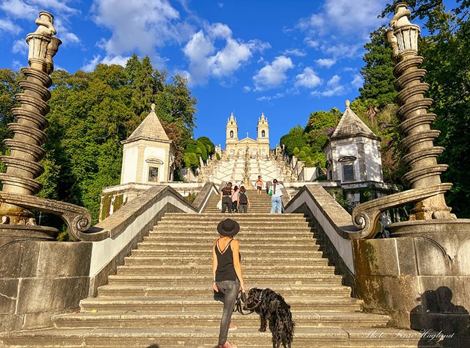 woman with a dog climbing steps towards a large, historic, brown and white building