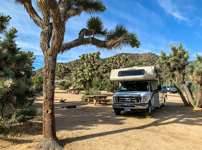 A campervan at a campground with a picnic bench and several trees