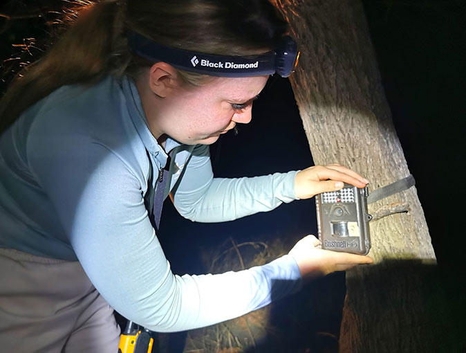 Volunteer work with wildlife conservation in Africa A woman attaching a camera to a tree