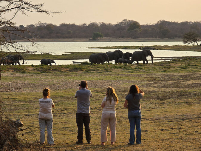 working in Malawi 4 people looking at a herd of elephants by the lake in front of them