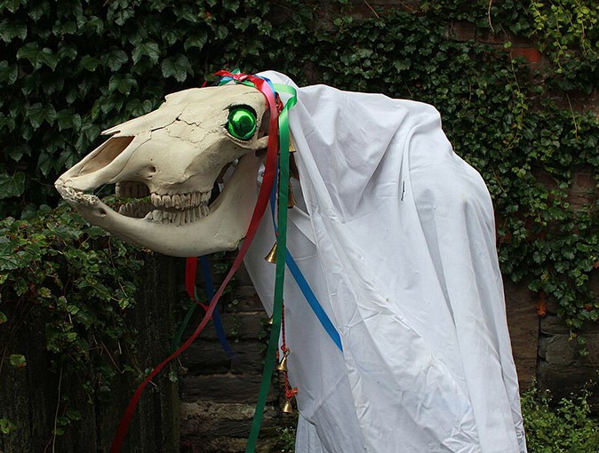 A very unique Christmas tradition A horse's skull held by a person hiding under a white blanket, decorated with colorful ribbons