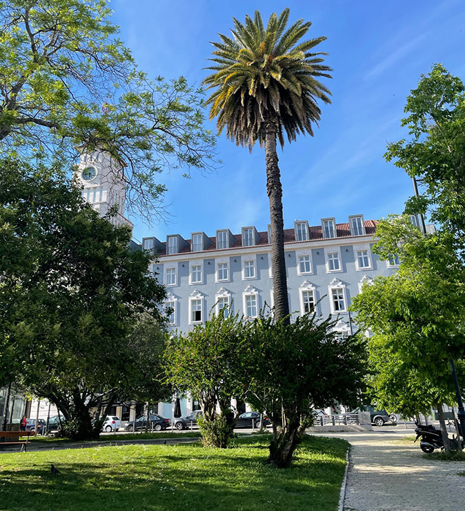 One of the coolest neighborhoods in Lisbon A large historic building surrounded by greenery and a palmtree
