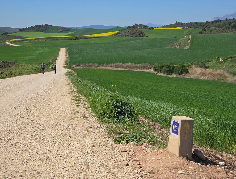 Walking to Camino de Santiago While Working Remotely