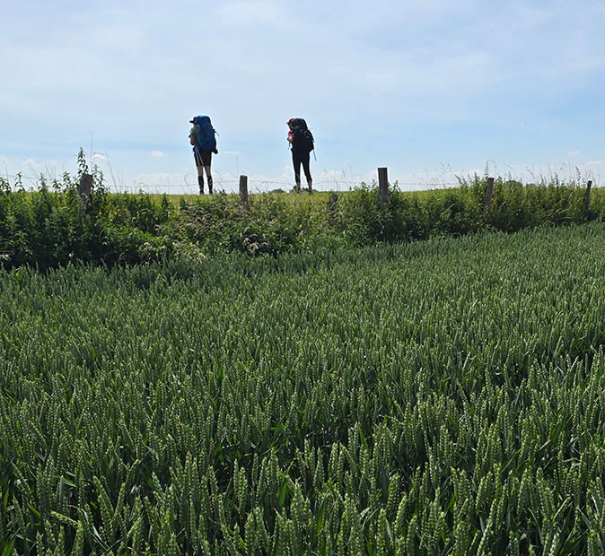2 hikers with large backpacks next to a green field