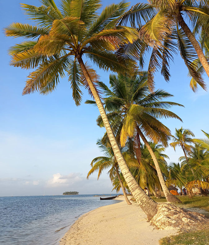A tropical island with palm trees and a sandy beach