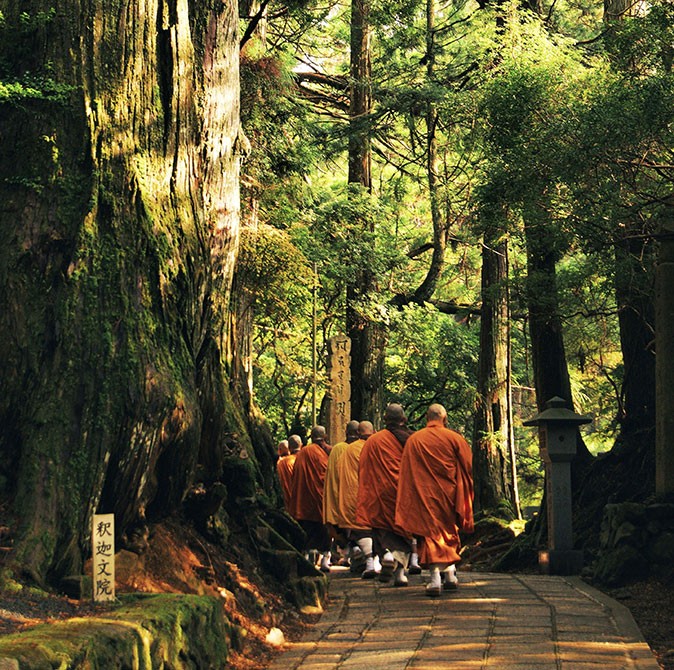 A temple retreat in Japan A group of monks in orange robes walking on a stone path in a forest