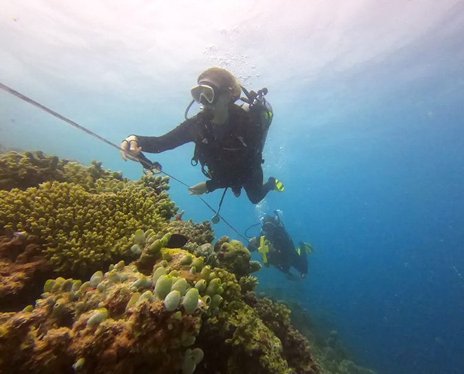 2 scuba divers reeling in measuring tape along a coral reef