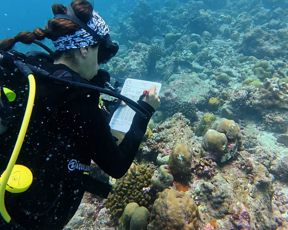 A woman scuba diving holding a pen and a dive slate, with a coral reef in the background