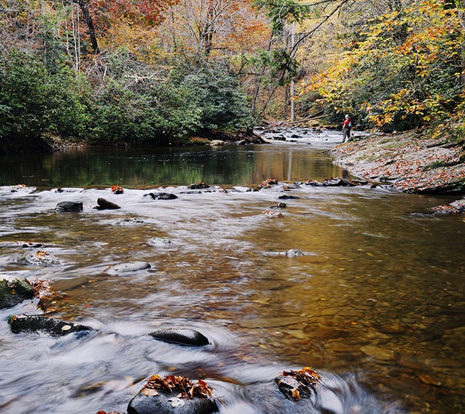 Gatlinburg, a town worth visiting A wide, shallow river running through a green forest