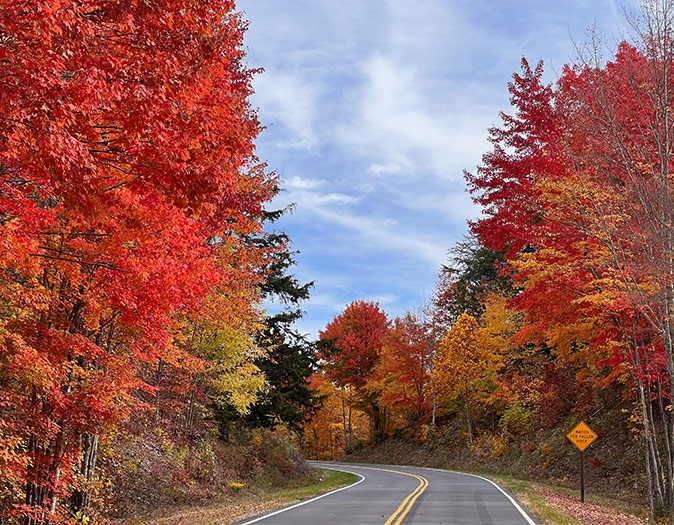 Best time to visit Gatlinburg A tarmac road through a forest with fall colors