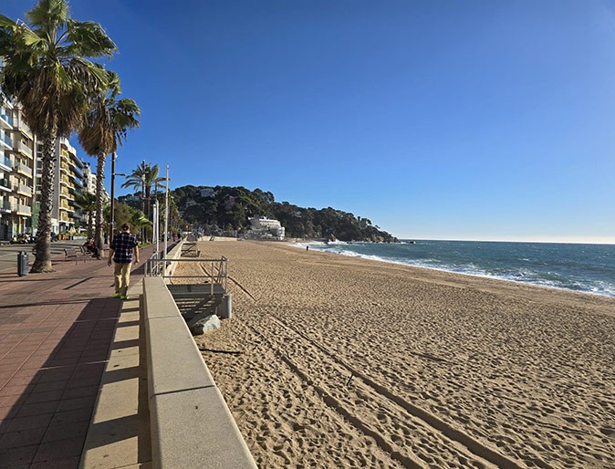 A long sandy beach, blue sky, various palm trees and a paved boardwalk
