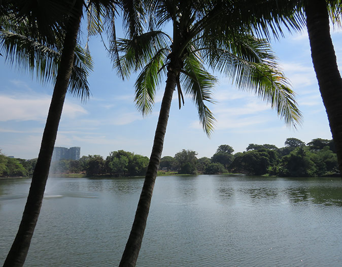 Inya Lake, Yangon 2 palmtrees in front of a large lake with greenery and some highrise buildings in the background