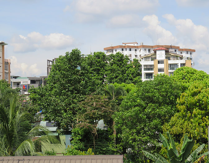 What living in Yangon as an expat is like Green trees and bushes with some apartment buildings in the background