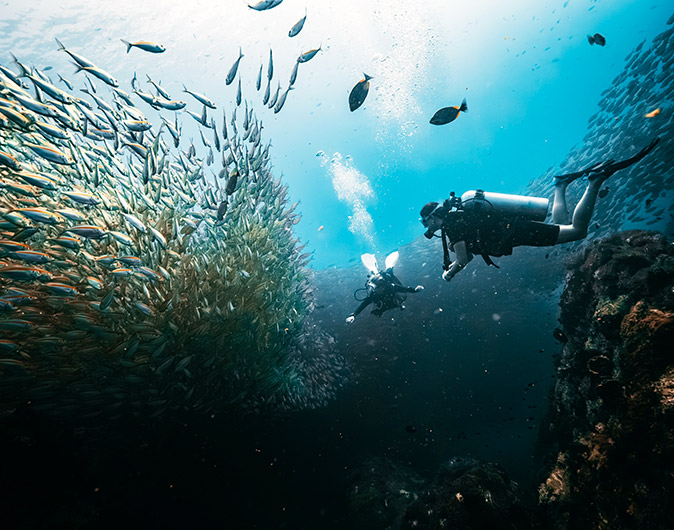 2 scuba divers underwater with a large school of fish on their left and part of a coral reef on their right