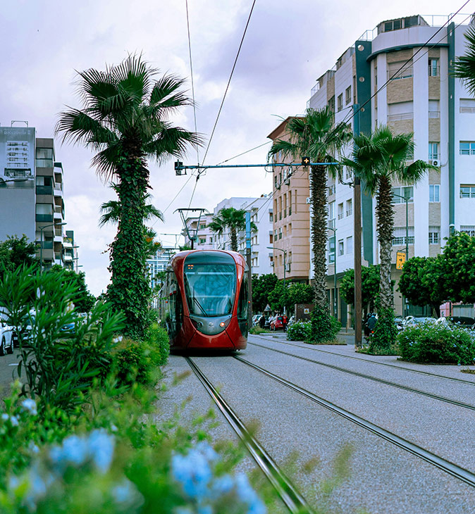 Living in Casablanca, Morocco A modern red tram surrounded by high rise buildings, palm trees and other greenery