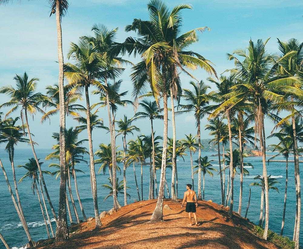A man standing on a hill with many tall palm trees looking out over a blue see with a blue sky