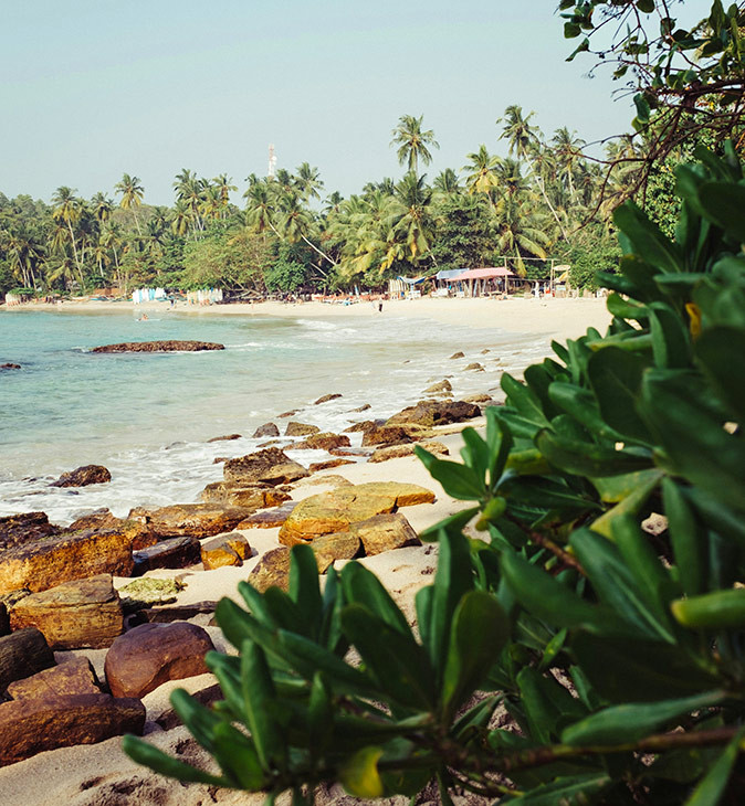 A sandy and rocky beach with palm trees, clear blue water and some greenery in the foreground