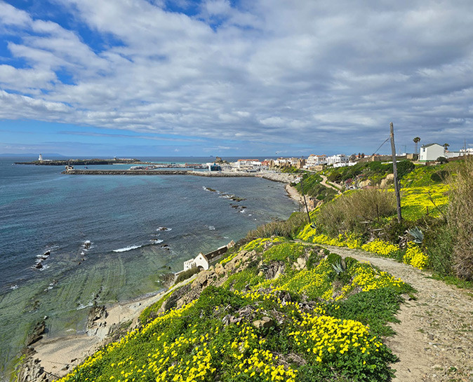 A hiking trail from Tarifa Aerial view of a coastal town with a hiking trail with yellow flowers in the foreground and a marina and lighthouse in the background