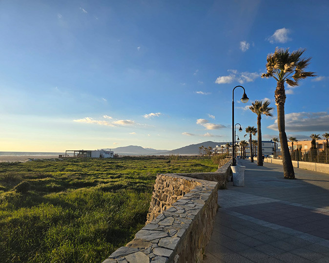 Tarifa as a remote work destination A boardwalk with palm trees and a stone wall, with a beach and beach bar in the background