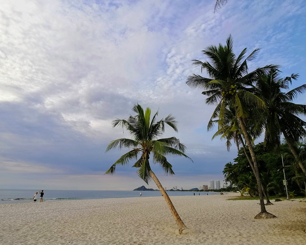 A beautiful sandy beach with some palm trees and people and buildings in the distance