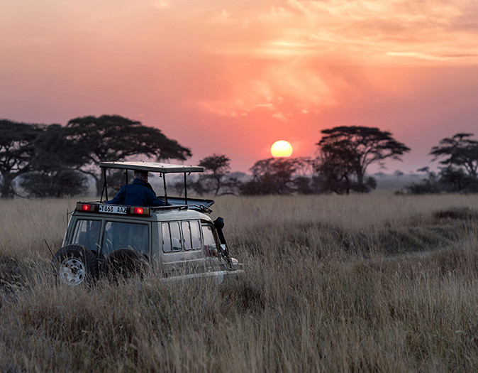 Possibly the best time of year for a safari in Africa A safari truck in dry grass with a beautiful red and orange sunset in the background