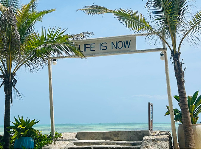 A white sign reading "Life is Now" placed in between palm trees in front of a sandy beach