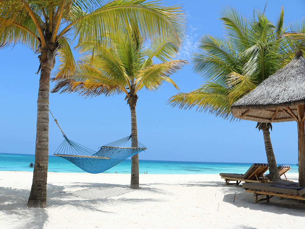 A beuatiful white sandy beach with palm trees, a hammock and part of a beach hut