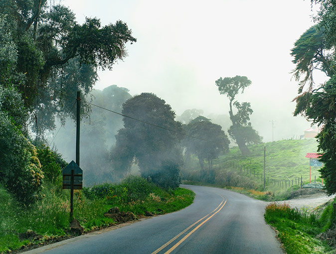 A tarmac road surrounded by lush greenery