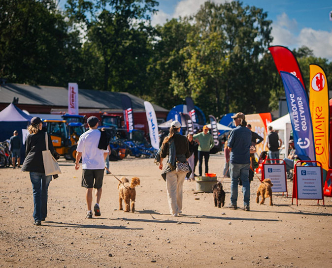 Digital nomads visiting a farmers market in Sweden Several people and dogs at an outdoor farmers market
