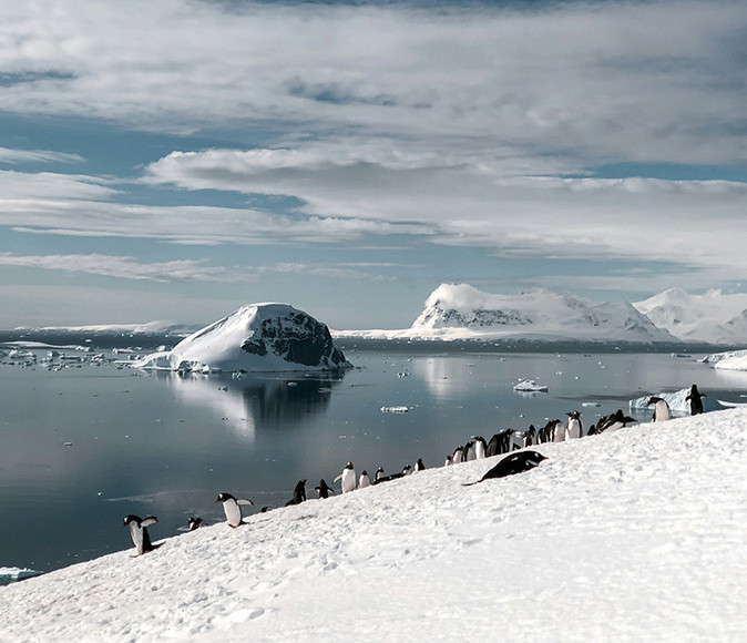 A cruise to the Antarctic Peninsula Penguins on the Antarctic Peninsula